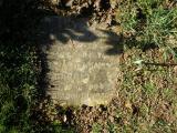 image of grave number 126143